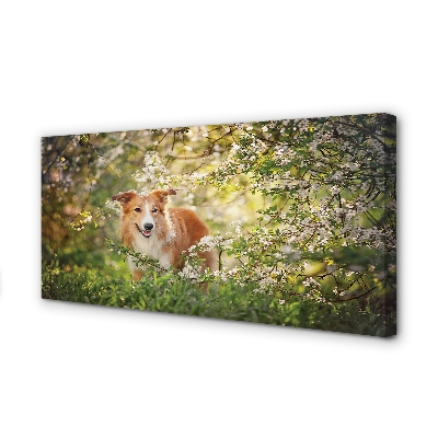 Leinwandbilder Hund Blumen Wald