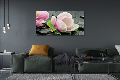 Leinwandbilder Magnolia Steine