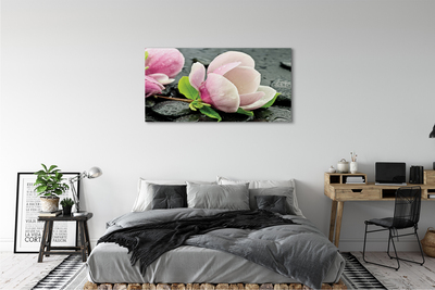 Leinwandbilder Magnolia Steine