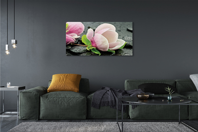 Leinwandbilder Magnolia Steine