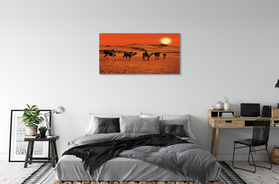 Leinwandbilder Kamele Himmel Sonne Wüste Menschen