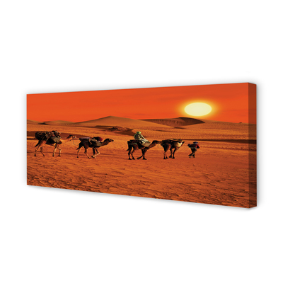 Leinwandbilder Kamele Himmel Sonne Wüste Menschen