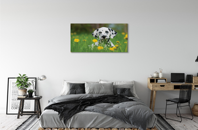 Leinwandbilder Präriehund
