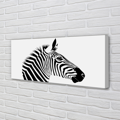 Leinwandbilder Illustration von Zebra