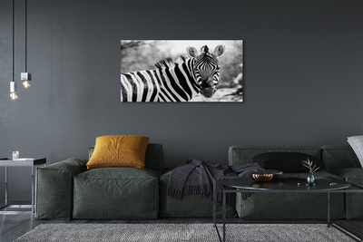 Leinwandbilder Zebra retro