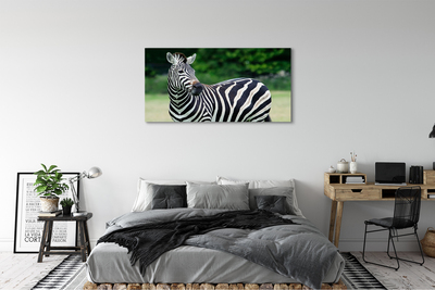 Leinwandbilder Zebra-Box