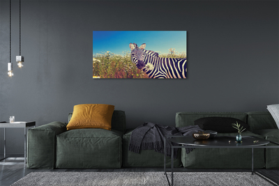 Leinwandbilder Zebra Blumen
