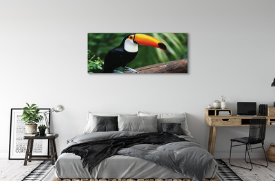 Leinwandbilder Toucan auf einem Ast