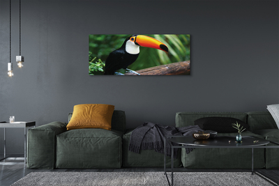 Leinwandbilder Toucan auf einem Ast