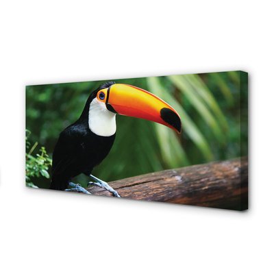 Leinwandbilder Toucan auf einem Ast