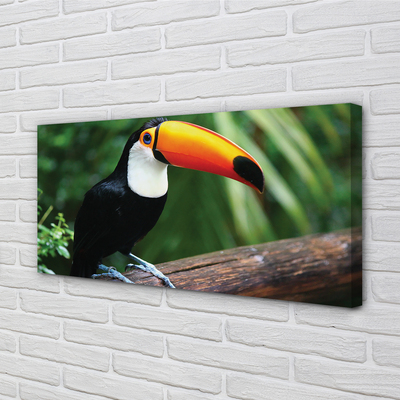 Leinwandbilder Toucan auf einem Ast