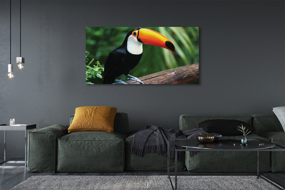 Leinwandbilder Toucan auf einem Ast