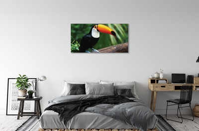 Leinwandbilder Toucan auf einem Ast