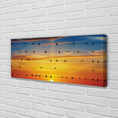 Leinwandbilder Vögel auf Sonnenuntergang Seile