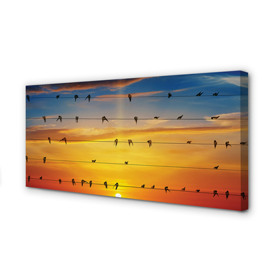 Leinwandbilder Vögel auf Sonnenuntergang Seile
