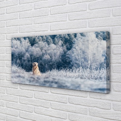 Leinwandbilder Winter-Berghund