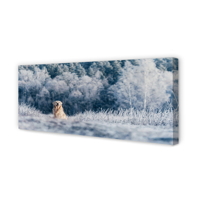 Leinwandbilder Winter-Berghund