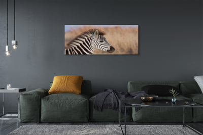 Leinwandbilder Zebra