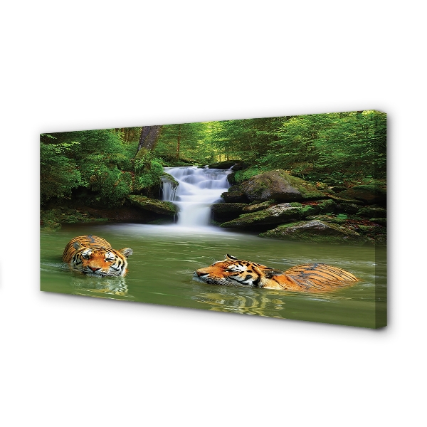 Leinwandbilder Wasserfall Tiger