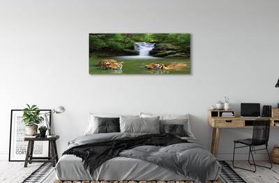 Leinwandbilder Wasserfall Tiger