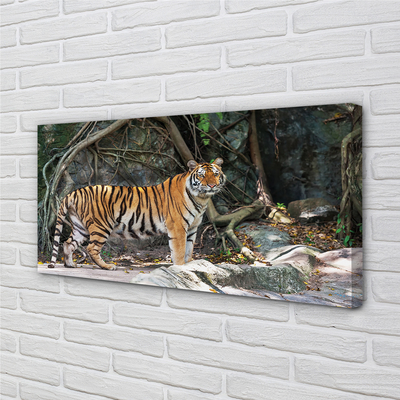 Leinwandbilder Tiger Dschungel