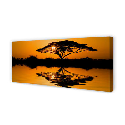 Leinwandbilder Baum Sonnenuntergang