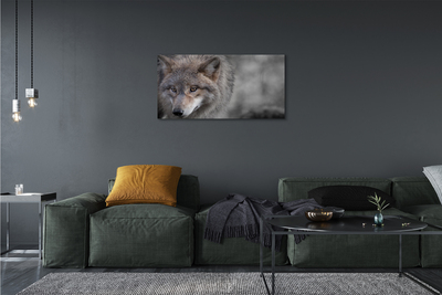 Leinwandbilder Wolf