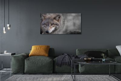 Leinwandbilder Wolf