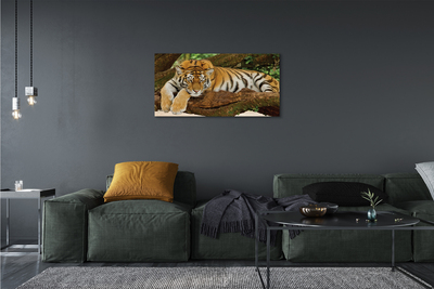 Leinwandbilder Tiger Baum