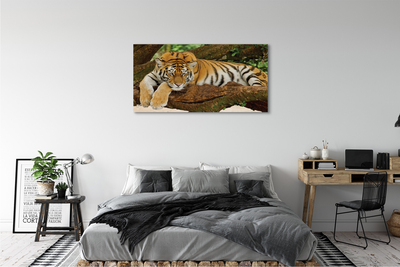 Leinwandbilder Tiger Baum