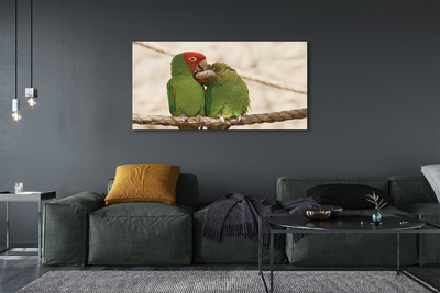 Leinwandbilder grüne Papageien