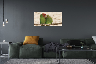 Leinwandbilder grüne Papageien