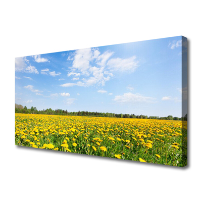 Canvas Kunstdruck Löwenzahn Wiese Landschaft