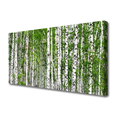 Canvas Kunstdruck Birken Wald Bäume Natur