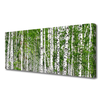 Canvas Kunstdruck Birken Wald Bäume Natur