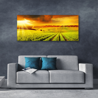 Canvas Kunstdruck Feld Acker Sonnenuntergang Landschaft