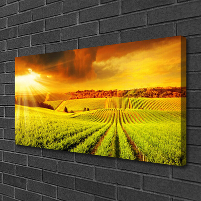 Canvas Kunstdruck Feld Acker Sonnenuntergang Landschaft