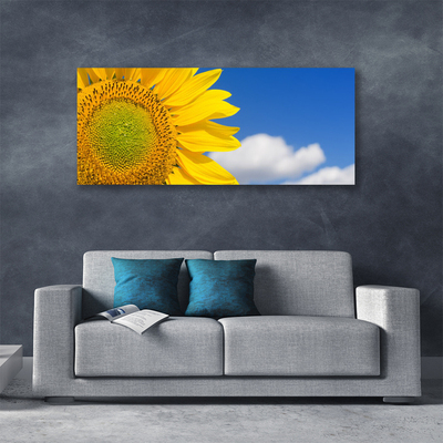 Canvas Kunstdruck Sonnenblume Wolken Pflanzen