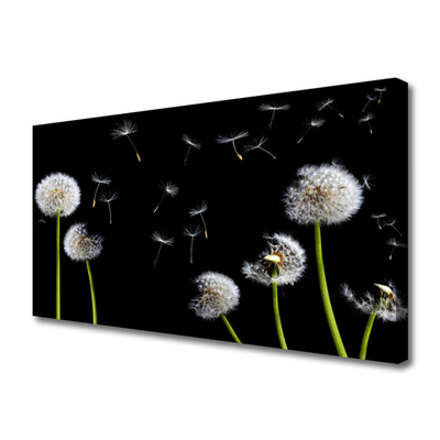 Canvas Kunstdruck Pusteblumen Pflanzen