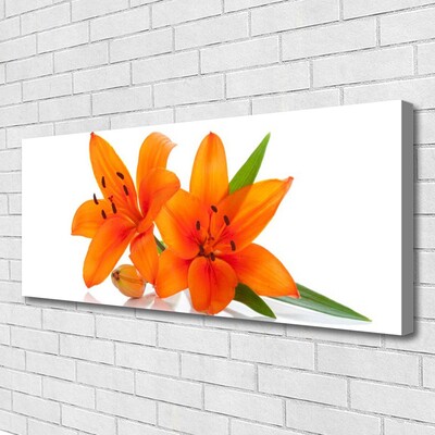 Canvas Kunstdruck Blumen Pflanzen