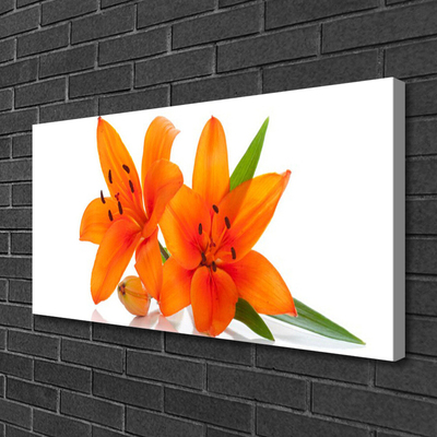 Canvas Kunstdruck Blumen Pflanzen