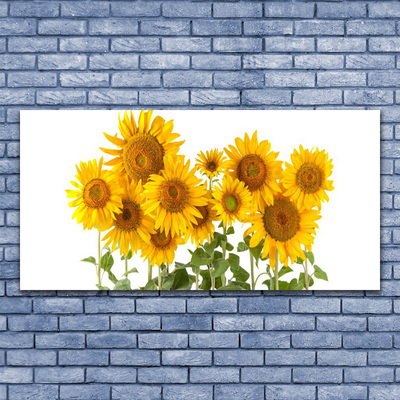 Canvas Kunstdruck Sonnenblumen Pflanzen
