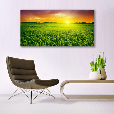 Canvas Kunstdruck Getreidefeld Sonnenaufgang Pflanzen