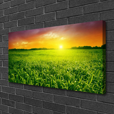 Canvas Kunstdruck Getreidefeld Sonnenaufgang Pflanzen