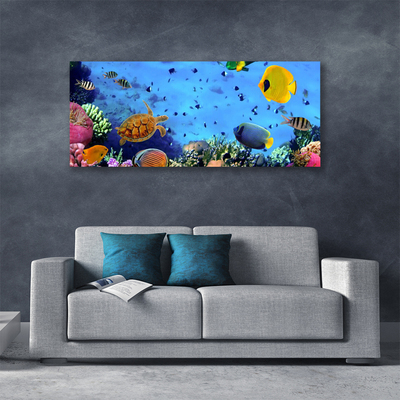 Canvas Kunstdruck Korallenriff Unterwasser Fische Natur