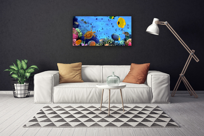 Canvas Kunstdruck Korallenriff Unterwasser Fische Natur