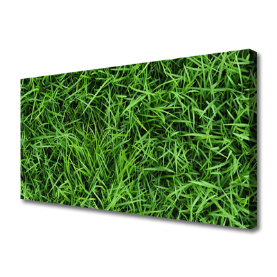 Canvas Kunstdruck Gras Rasen Pflanzen