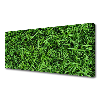 Canvas Kunstdruck Gras Rasen Pflanzen