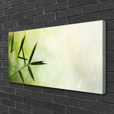 Canvas Kunstdruck Blätter Regen Pflanzen