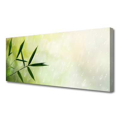 Canvas Kunstdruck Blätter Regen Pflanzen